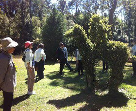 Wildwood Garden - Geraldton Accommodation 3