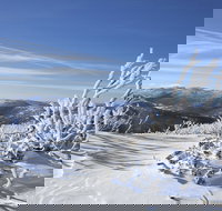 Rock Creek snowshoe track - Geraldton Accommodation