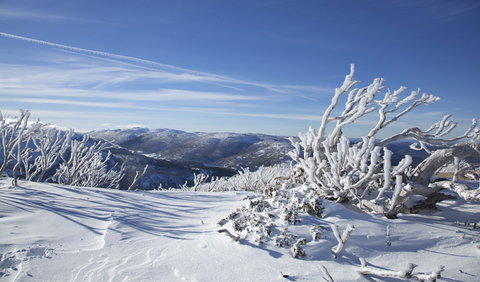 Rock Creek Snowshoe Track - Geraldton Accommodation 0