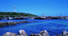 King Island Dairies - Geraldton Accommodation 0