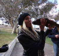 Eucumbene Trout Farm - Geraldton Accommodation