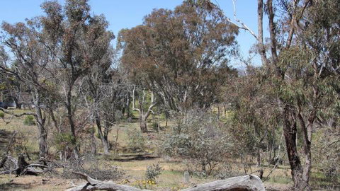Remembrance Nature Park - Geraldton Accommodation 2