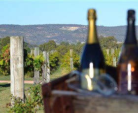 Ugly Duckling Wines - Geraldton Accommodation 1