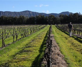 Around Hermitage Wine And Food Trail Hunter Valley - Geraldton Accommodation 1