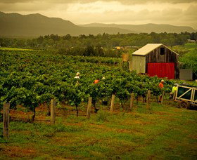 Around Hermitage Wine And Food Trail Hunter Valley - Geraldton Accommodation 0