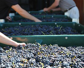 Around Hermitage Wine And Food Trail Hunter Valley - Geraldton Accommodation 6