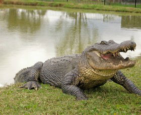 Hunter Valley Zoo - Geraldton Accommodation 1