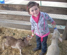 Hunter Valley Zoo - Geraldton Accommodation 4