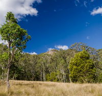 Brush Turkey track - Geraldton Accommodation