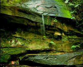 Strickland State Forest - Geraldton Accommodation 0