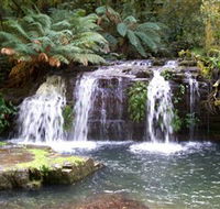 Barrington Tops National Park Walks - Geraldton Accommodation