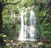 Budderoo National Park - The Falls Walk - Geraldton Accommodation