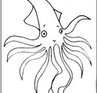 Squid Studio - Geraldton Accommodation