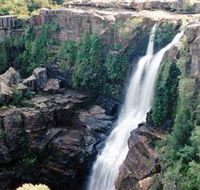 Minnamurra Rainforest Centre Budderoo National Park - Geraldton Accommodation