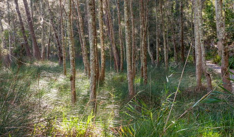 Anabranch Loop Track - Geraldton Accommodation 0
