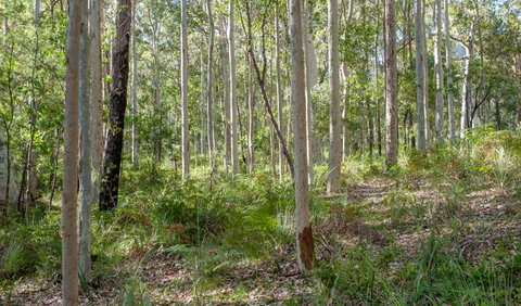 Anabranch Loop Track - Geraldton Accommodation 2