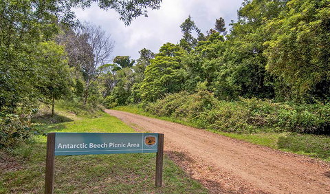 Antarctic Beech Picnic Area - Geraldton Accommodation 0