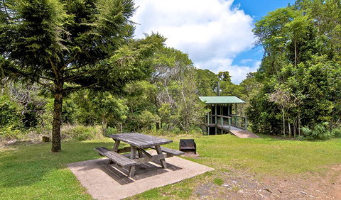 Antarctic Beech Picnic Area - Geraldton Accommodation 1