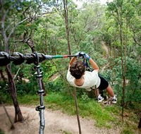 TreeTop Challenge - Geraldton Accommodation