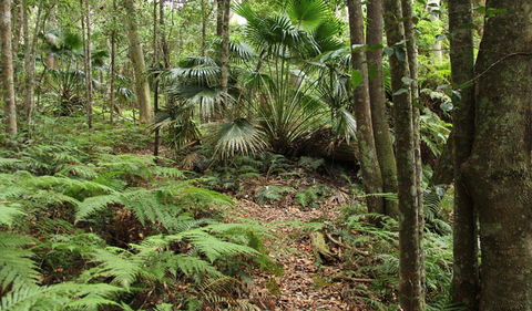 Durras Lake Discovery Trail - Geraldton Accommodation 0