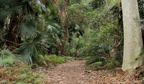 Durras Lake Discovery Trail - Geraldton Accommodation 2