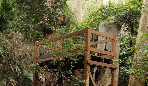 Durras Lake Discovery Trail - Geraldton Accommodation 3