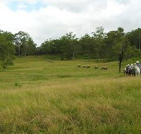 Numinbah Valley Adventure Trails - Geraldton Accommodation