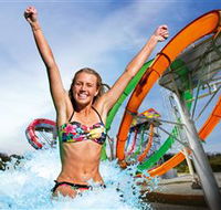 Wet'n'Wild Gold Coast - Geraldton Accommodation