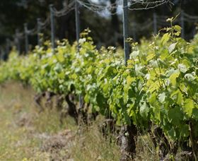 Barton Jones Wines - Geraldton Accommodation 2