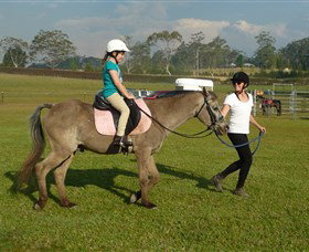 Port Macquarie Horse Riding Centre - Geraldton Accommodation 0
