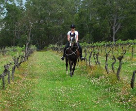 Port Macquarie Horse Riding Centre - Geraldton Accommodation 1