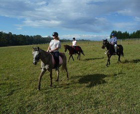 Port Macquarie Horse Riding Centre - Geraldton Accommodation 5