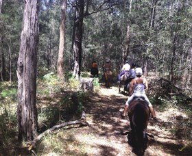 Port Macquarie Horse Riding Centre - Geraldton Accommodation 4