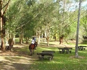 Port Macquarie Horse Riding Centre - Geraldton Accommodation 6