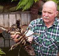 Lobster Ponds - Geraldton Accommodation
