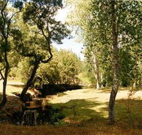 Oldina Picnic Area - Geraldton Accommodation