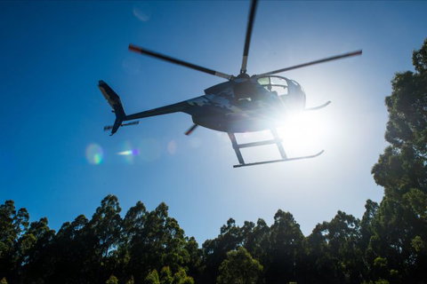 Tall Timbers Adventure Tours - Geraldton Accommodation 6