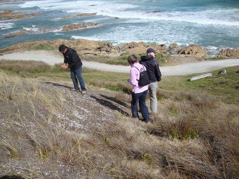 Tall Timbers Adventure Tours - Geraldton Accommodation 12