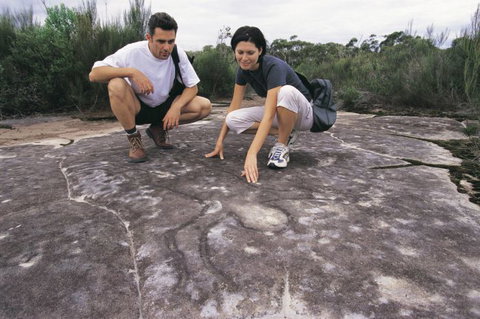 Sydney Coast Walks - Geraldton Accommodation 4