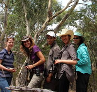 Echidna Walkabout Nature Tours - Geraldton Accommodation