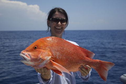 Absolute Ocean Charters - Geraldton Accommodation 5