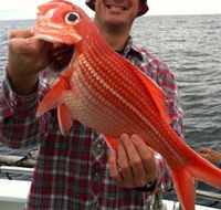Goin' Off Safaris - Geraldton Accommodation