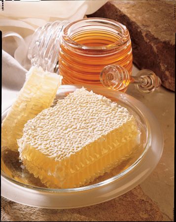 The Honey Place - Geraldton Accommodation 1