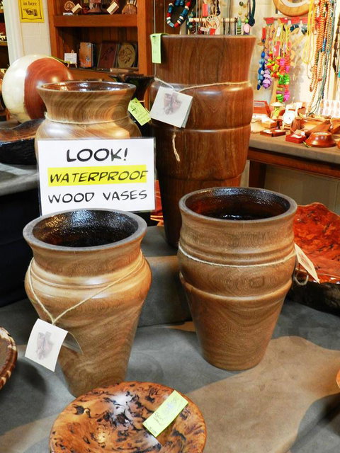 Montville Woods Gallery - Geraldton Accommodation 1