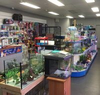Nambour Pet Shop - Geraldton Accommodation