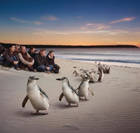 Down Under Thrills - Geraldton Accommodation