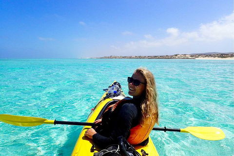 Lagoon Explorer - Ningaloo Reef Full-Day Kayaking And Snorkeling Adventure - Geraldton Accommodation 0