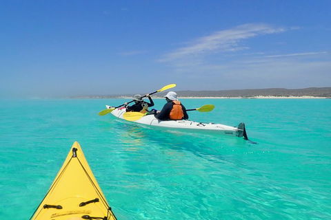 Lagoon Explorer - Ningaloo Reef Full-Day Kayaking And Snorkeling Adventure - Geraldton Accommodation 7