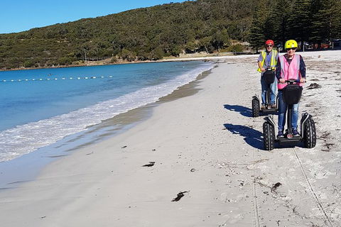 Albany Summit To Sea Adventure - Guided Segway Tour - Geraldton Accommodation 3