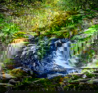 Day Tour in Mt. Field Mt. Wellington Bonorong Wildlife Sanctuary and Richmond - Geraldton Accommodation